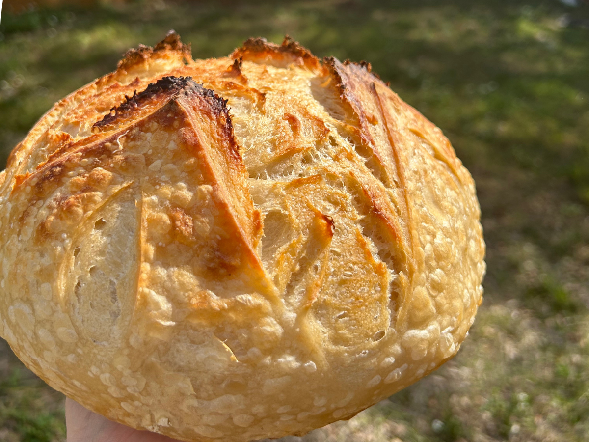 Private sourdough class